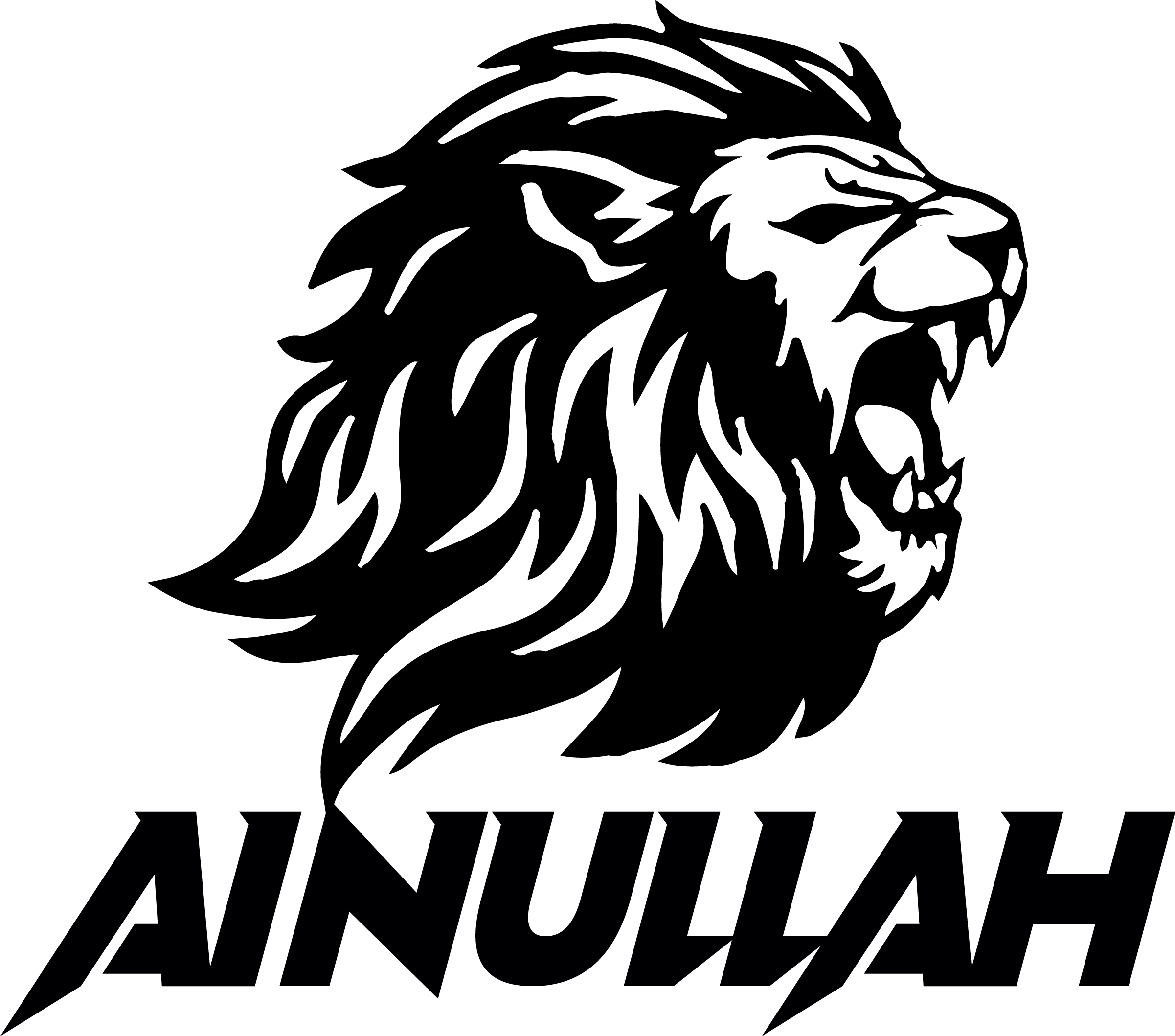 Ainullah Sports Worldwide official logo - premium boxing and MMA gear manufacturer from Sialkot, Pakistan