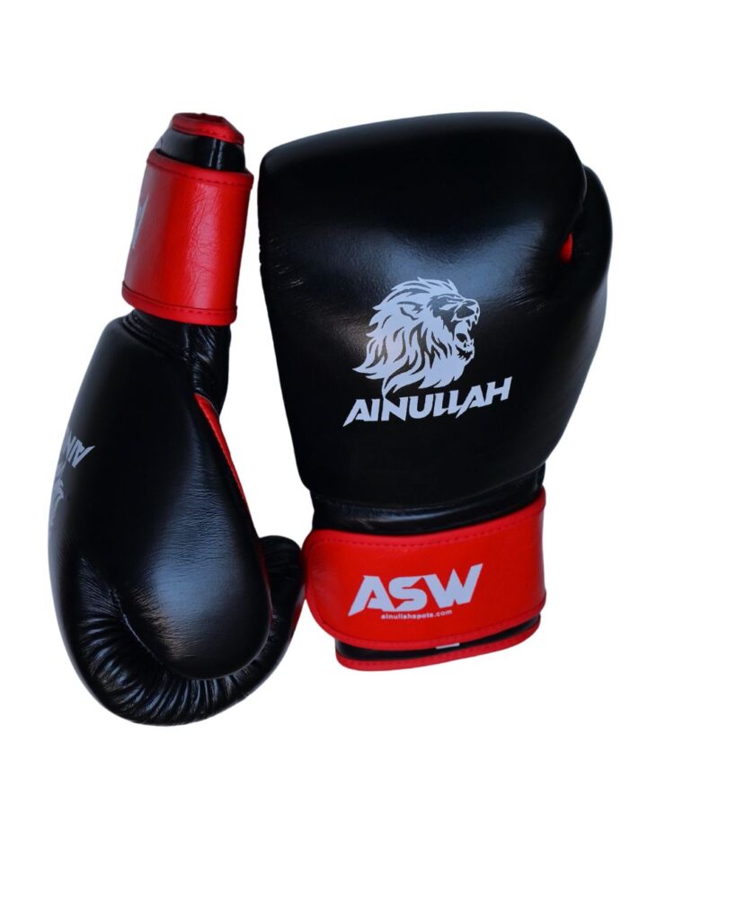 Pro Fight Boxing Gloves – Premium Quality by Ainullah Sports Worldwide